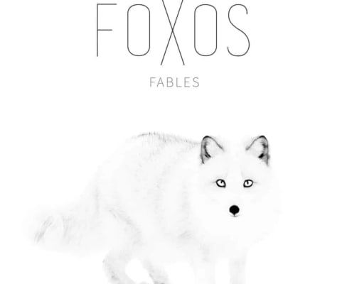 FOXOS | recordJet