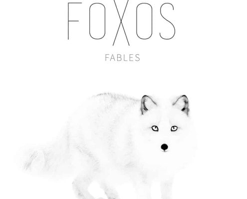 FOXOS | recordJet