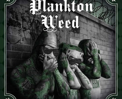 Spongebozz | recordJet